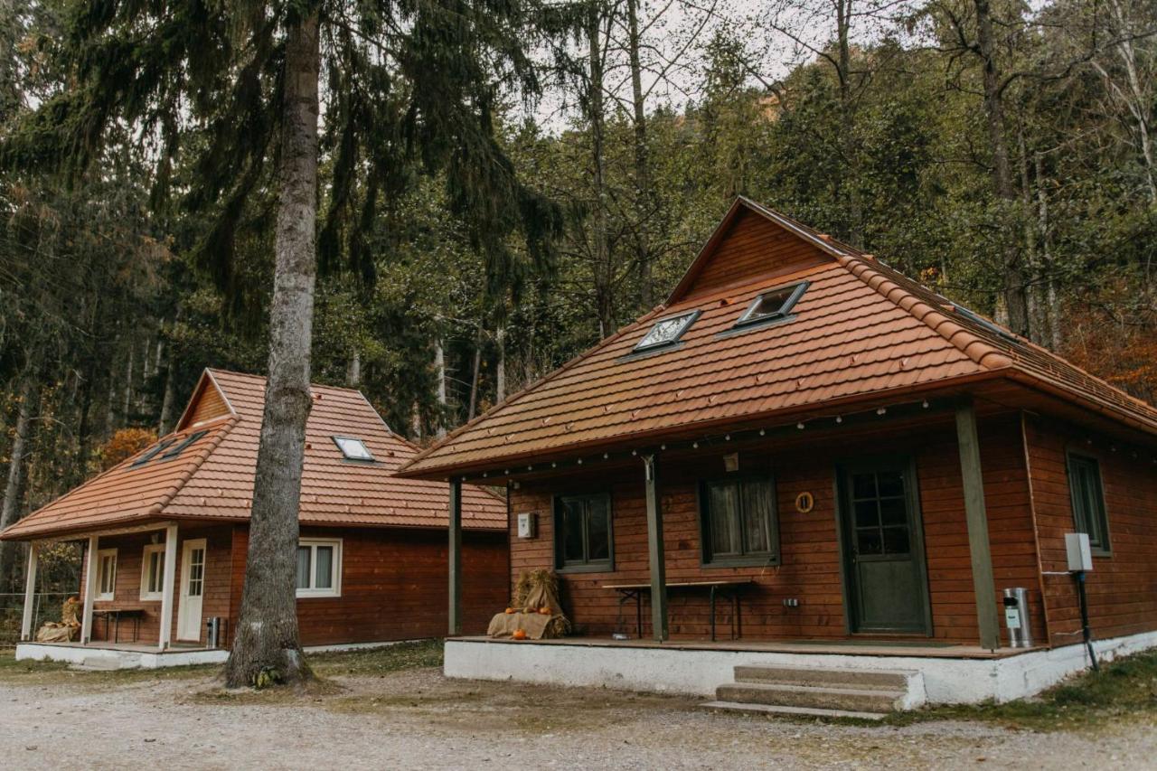 Tusnad Camping 伯伊莱图什纳德 外观 照片
