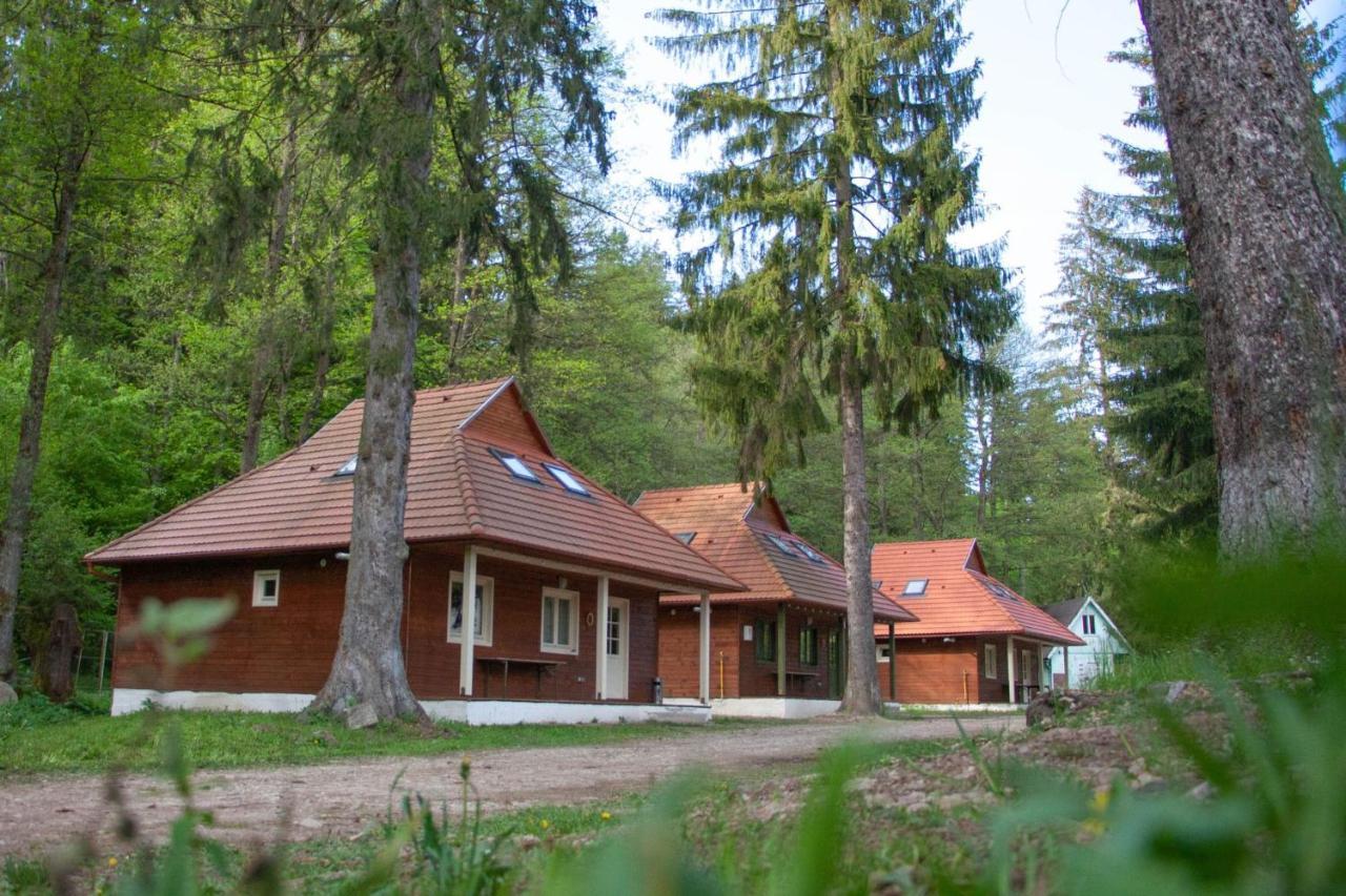 Tusnad Camping 伯伊莱图什纳德 外观 照片